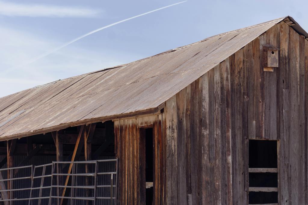 Tough Began in a Barn